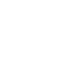 Language